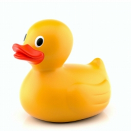 Avatar of user Wallacewastaken123