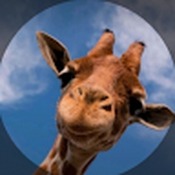 Avatar of user EcRiNMB3a