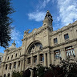 Avatar of user giuli12