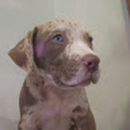 Avatar of user Mrm_00