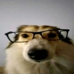 Avatar of user solar