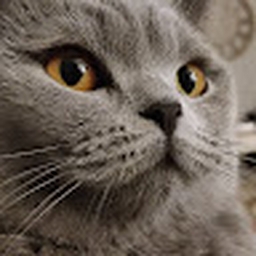 Avatar of user gameridk