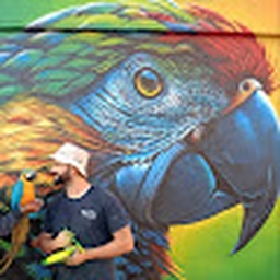 Avatar of user meziane