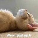 Avatar of user ILYYenny