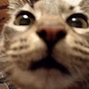 Avatar of user jesuu