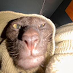 Avatar of user padrebagudo