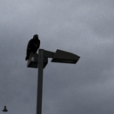 Cover of album Code Blue by CNMNE