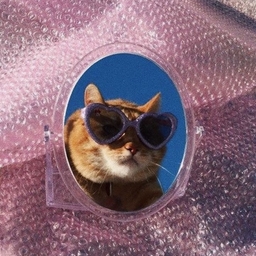 Avatar of user Gr33ny