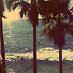 Avatar of user jimenaaaaaaaaa