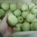 Avatar of user simmark