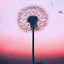 Avatar of user Diana1111117