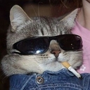 Avatar of user 7JAYS