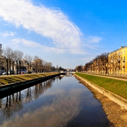 Avatar of user kindpostpunk