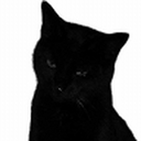 Avatar of user Kuzenee