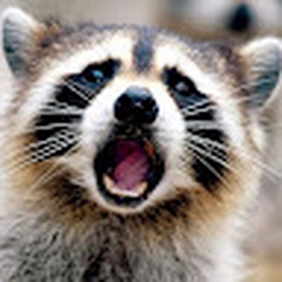 Avatar of user evegreen