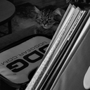 Cover of album in the bag by Kepz