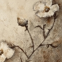 Avatar of user Kadsmadegood