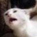 Avatar of user MrDoubleNugget