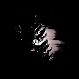 Avatar of user nln42