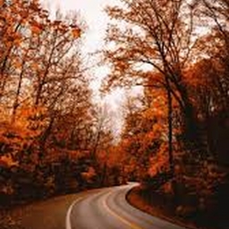 Avatar of user thestart_the3nd