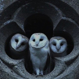 Avatar of user ZëRo