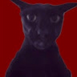 Avatar of user Bartek12x