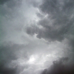 Avatar of user Cynic