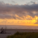 Avatar of user Hayhay17