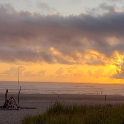 Avatar of user Hayhay17