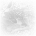 Avatar of user listn2