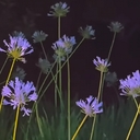 Cover of album Red (solo) arc by Redd