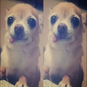 Avatar of user cilegna