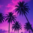 Avatar of user dicsos