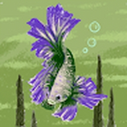 Avatar of user ASWKUYTRRD