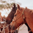 Avatar of user itsnotlettingmepickaname