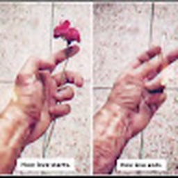 Avatar of user aligul66