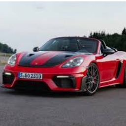 Avatar of user The wild 21