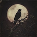 Avatar of user zozork