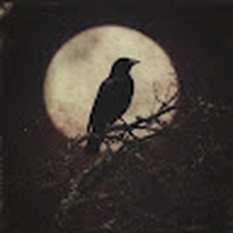 Avatar of user zozork