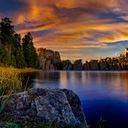 Cover of album The Sigma Male Songs by kanestrange