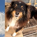 Avatar of user zyblik2