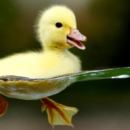 Avatar of user HARHARHAR67