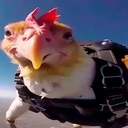 Avatar of user MurpphiTheBird