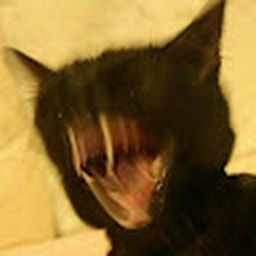 Avatar of user anderdingus