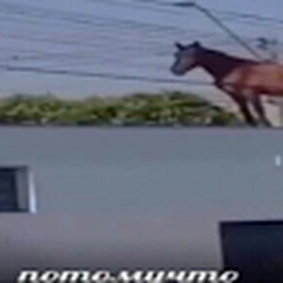 Avatar of user heron06