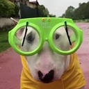 Avatar of user ok_176