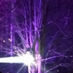 Avatar of user ranta07