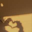 Avatar of user Leonabrowniebaby