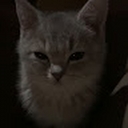 Avatar of user N_SHADE