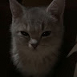 Avatar of user N_SHADE